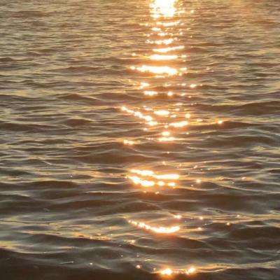 AG百家家乐app手机app下载